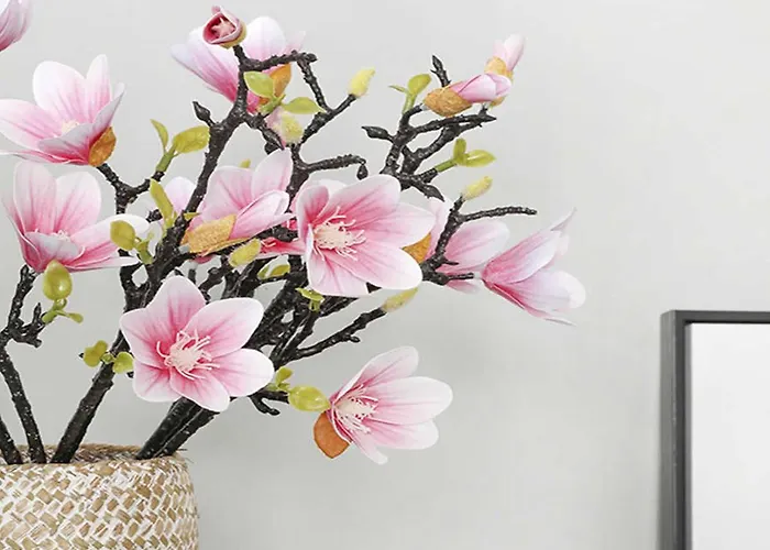 Tenuta Madre Terra * Isola Di Capo Rizzuto