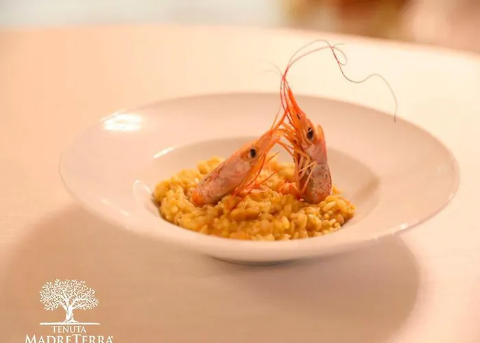 Alojamento de Acomodação e Pequeno-almoço Tenuta Madre Terra *