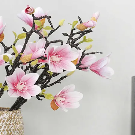 Tenuta Madre Terra * Isola di Capo Rizzuto