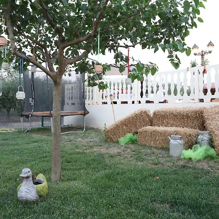 Bed and Breakfast Tenuta Madre Terra *