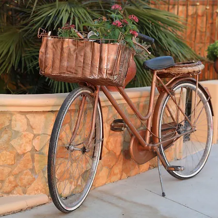 Bed and Breakfast Tenuta Madre Terra *