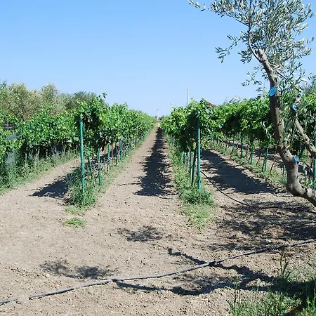 Tenuta Madre Terra Frühstückspension *