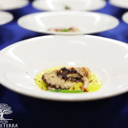 Tenuta Madre Terra Panzió *