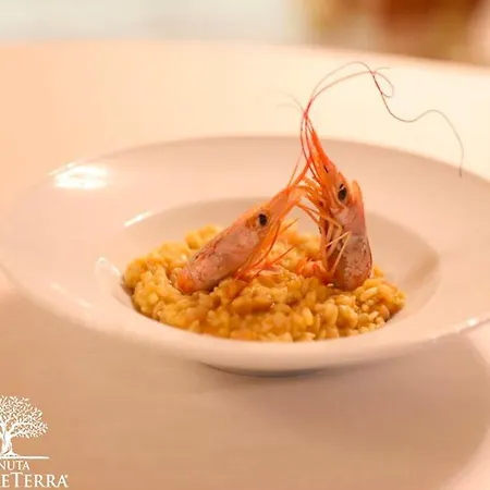Bed & Breakfast Tenuta Madre Terra *
