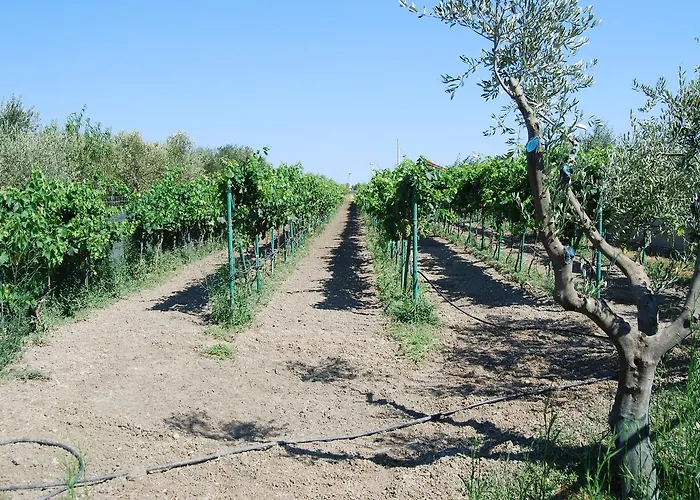 Tenuta Madre Terra 住宿加早餐酒店 *